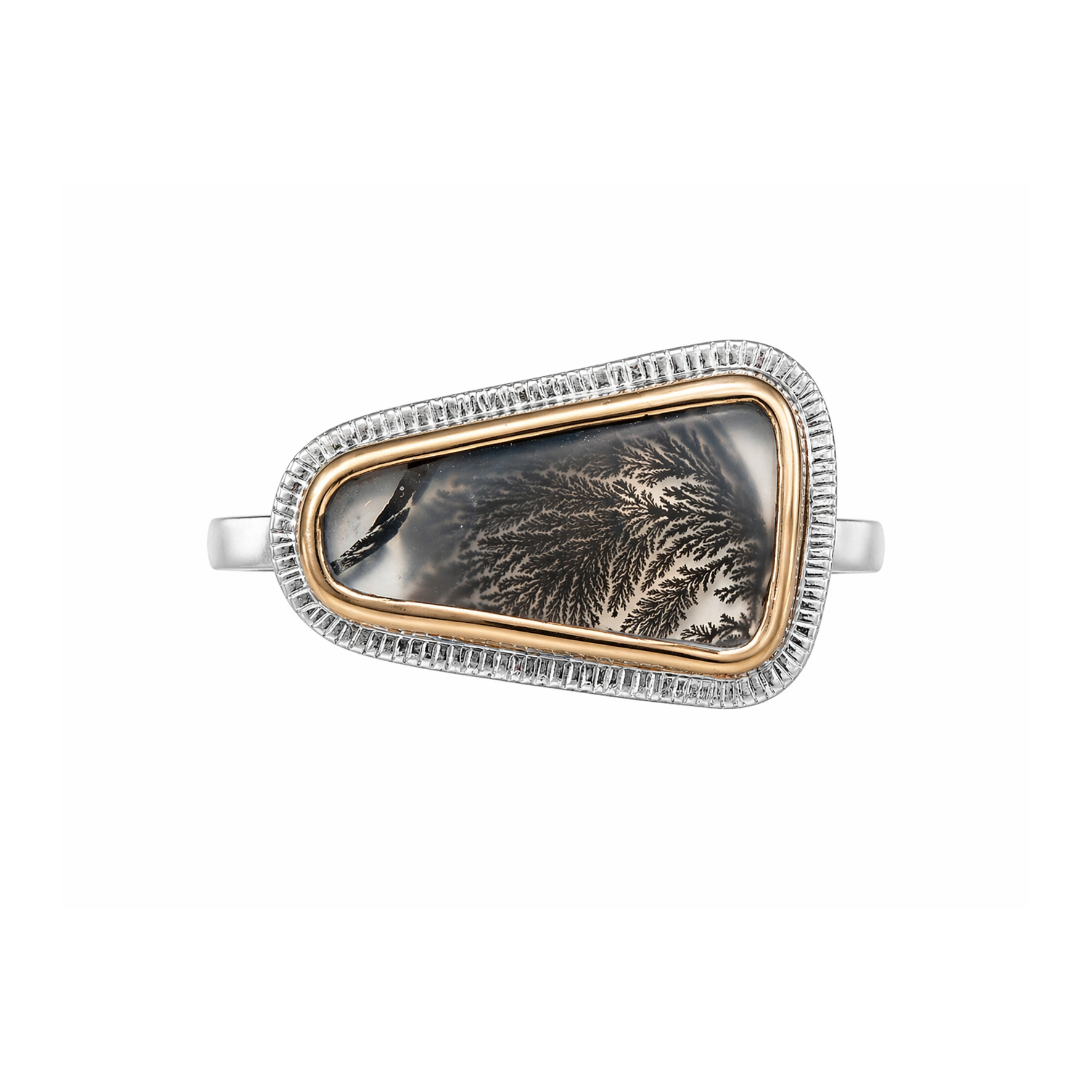 Mixed metal ring with a central dendritic agate stone boardered by 14K yellow gold and sterling silver