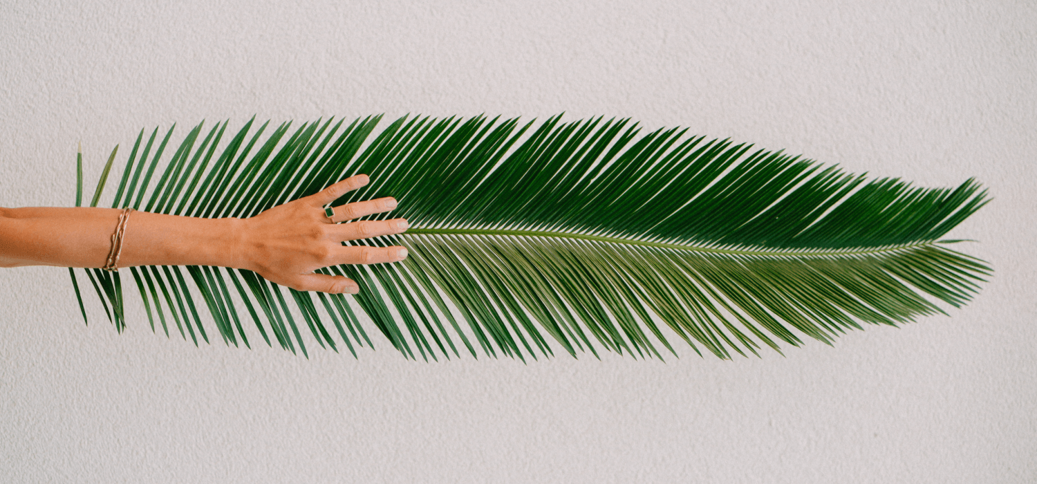 Feather & Wing - Kat Cadegan