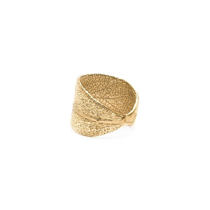 14k Gold Sage Ring - Kat Cadegan