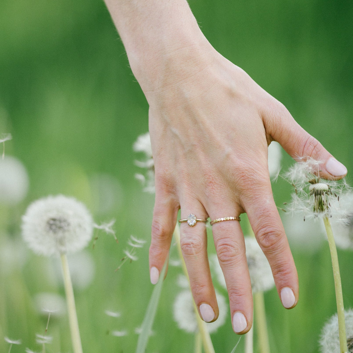 Diamond Amira Ring - 14k gold