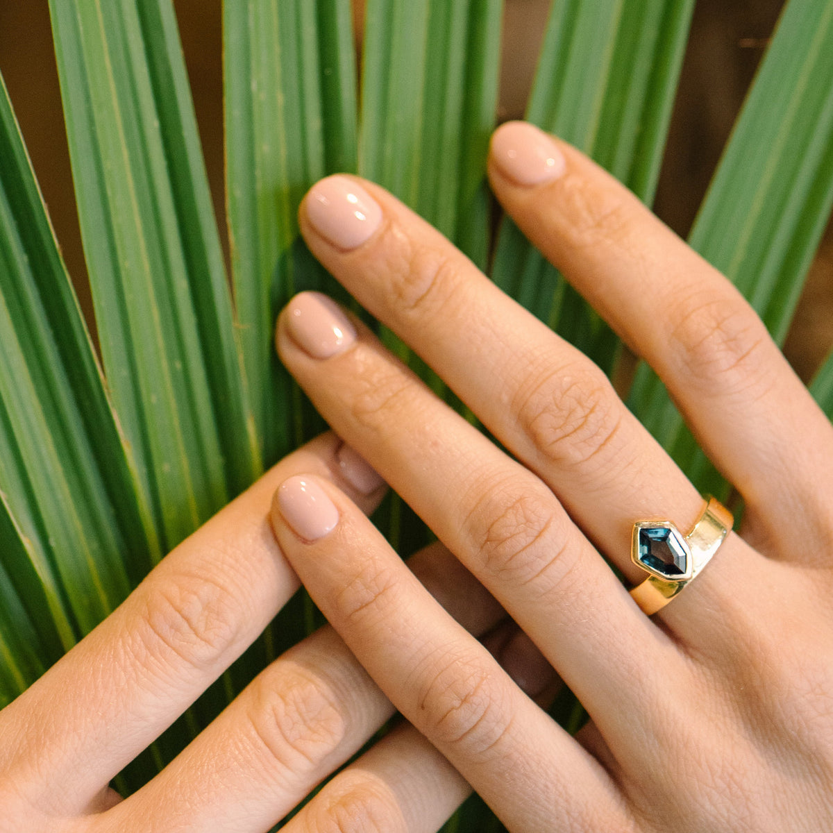 Two hands resting on green palm leaves, showcasing two gold rings: one with a triangular silver and dark blue stone, and the other with a round dark blue stone.