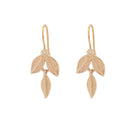 Eve 14k gold Earrings - Kat Cadegan Jewellery
