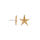 Starfish Earrings- mini - Kat Cadegan Jewellery